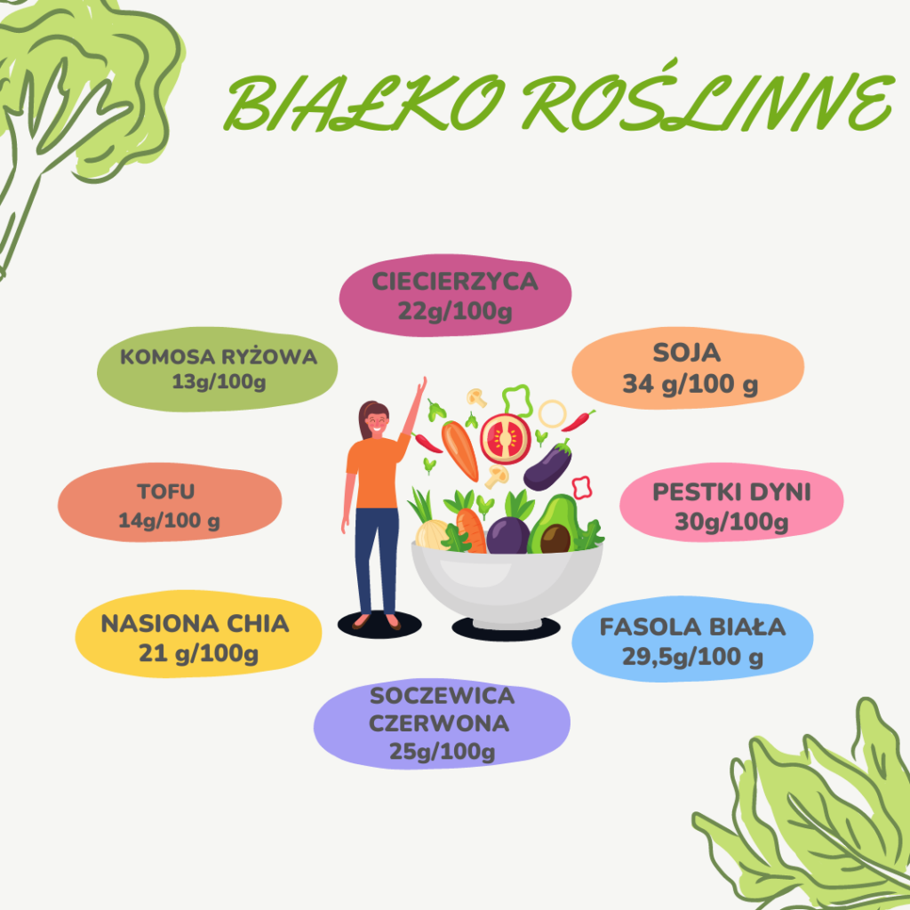 Infografika przedstawiająca białka roślinne wraz z zawartością białka na 100g