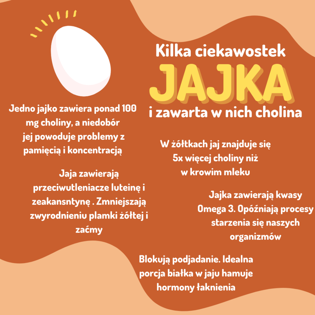 Ciekawostki i fakty o jajkach - infografika